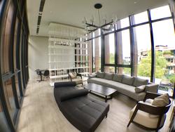 Robin Residences (D10), Condominium #146487432